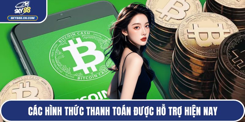Các hình thức thanh toán được hỗ trợ hiện nay