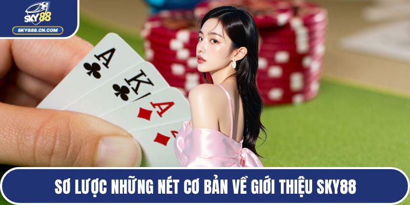 Sơ lược những nét cơ bản về giới thiệu SKY88