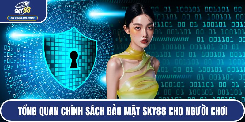 Tổng quan chính sách bảo mật SKY88 cho người chơi